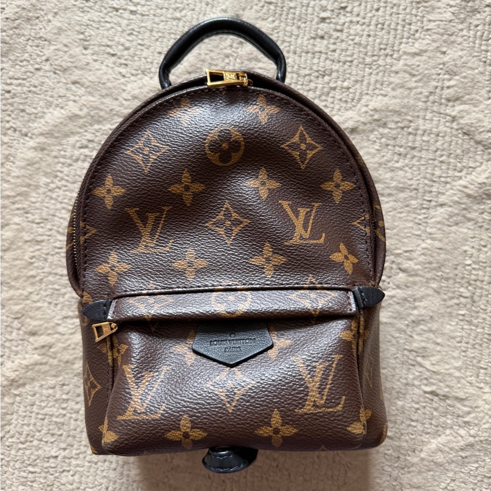 Louis Vuitton Monogram Mini Palm Spring Backpack